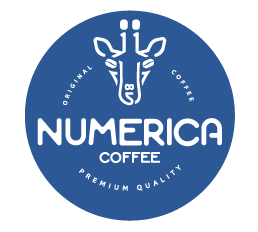 numerica-new-logo.png (10 KB)