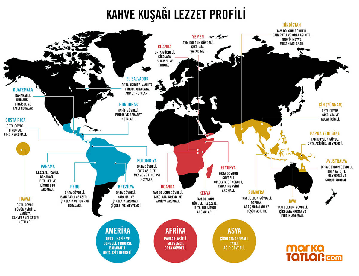 numerica-kahve-lezzet-kusagı-gorsel