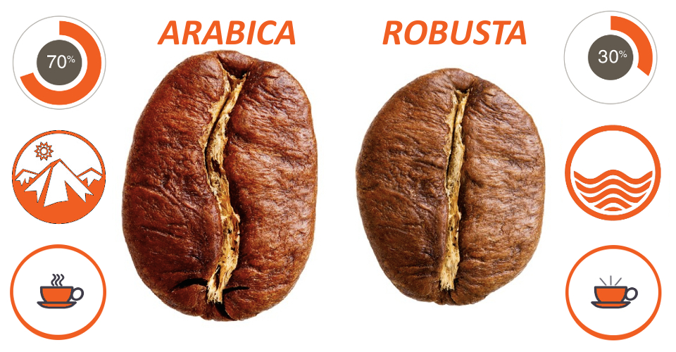 arabica-robusta-kahve-çekirdekleri-karşılaştırması-600x300